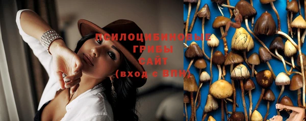 СК Коряжма